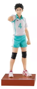 Haikyu!! Figure PVC Iwaizumi - 19 cm